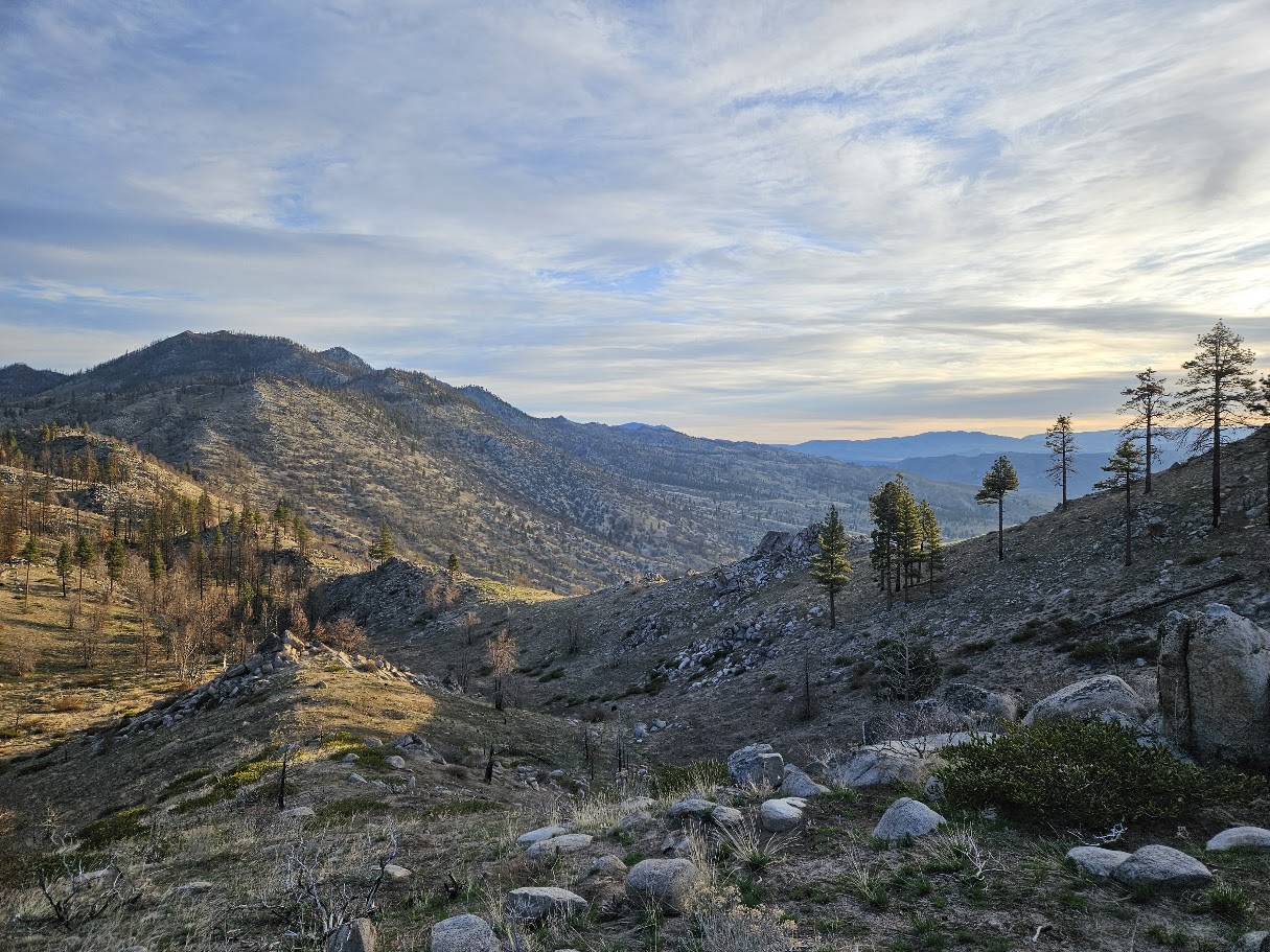 A landscape photo from ground surveys in the Diamond Pack